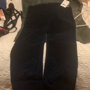 Free people blue velvet pants NWT
